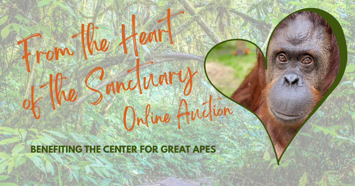 Campaign cover image for From the Heart of the Sanctuary