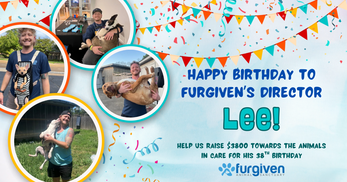Campaign cover for Lee’s Birthday Celebration!