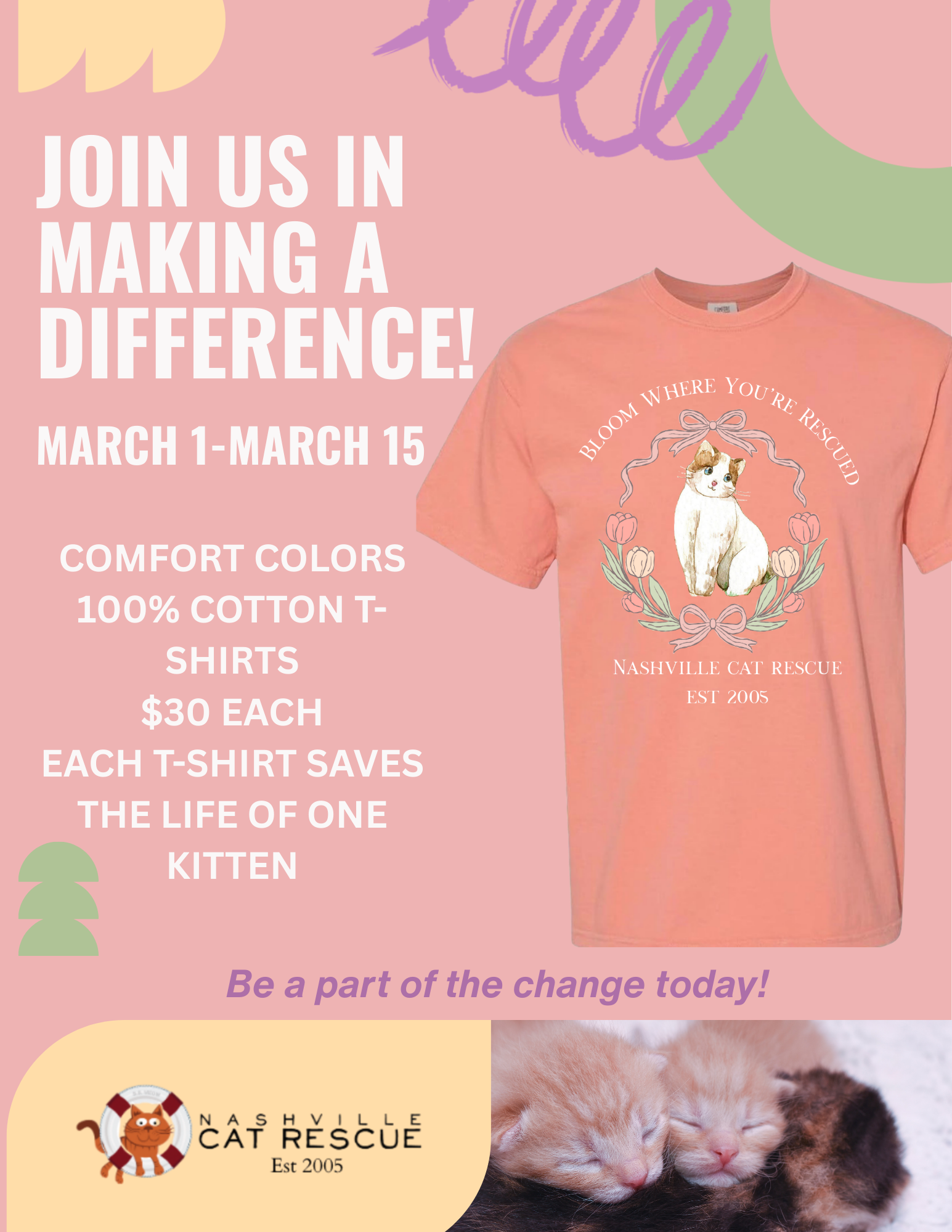 Campaign cover image for Spring Into Kitten Season T-Shirt Fundraiser