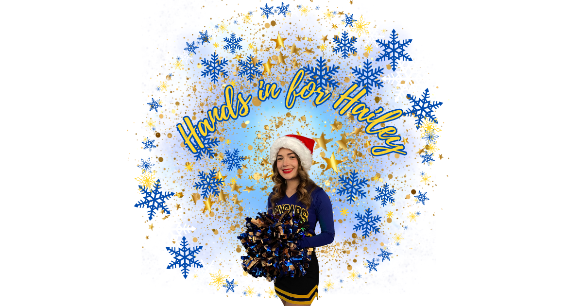 Campaign cover image for Hands In For Hailey 2024