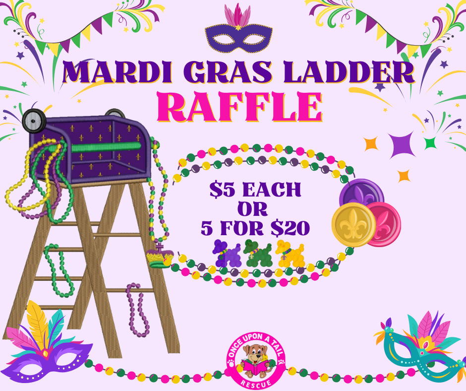 Campaign cover image for MARDI GRAS LADDER Raffle