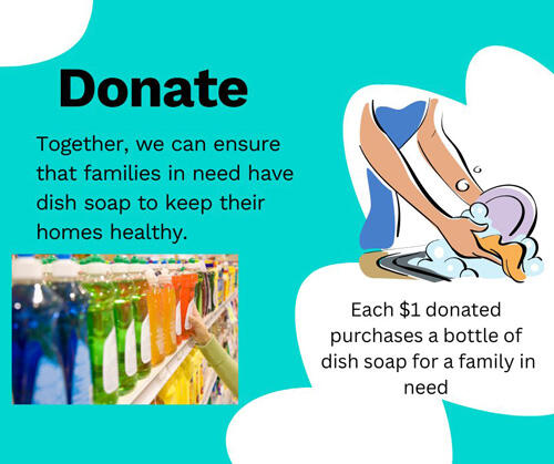 Campaign cover image for Dish Soap Donations 2025