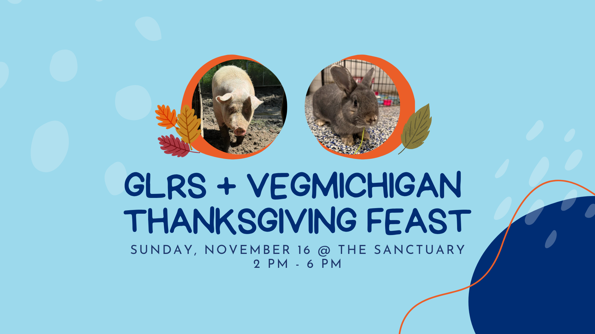 Campaign cover image for GLRS/VegMichigan Thanksgiving Feast