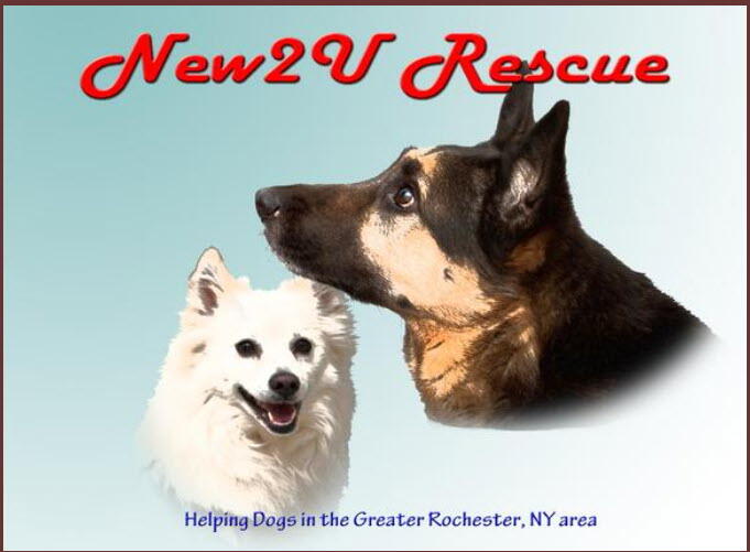 Campaign cover image for New2U Fall Fundraiser Raffle Baskets