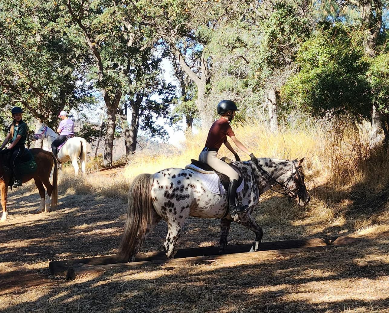 Campaign cover image for DEHA 2026 Diablo Obstacle Challenge