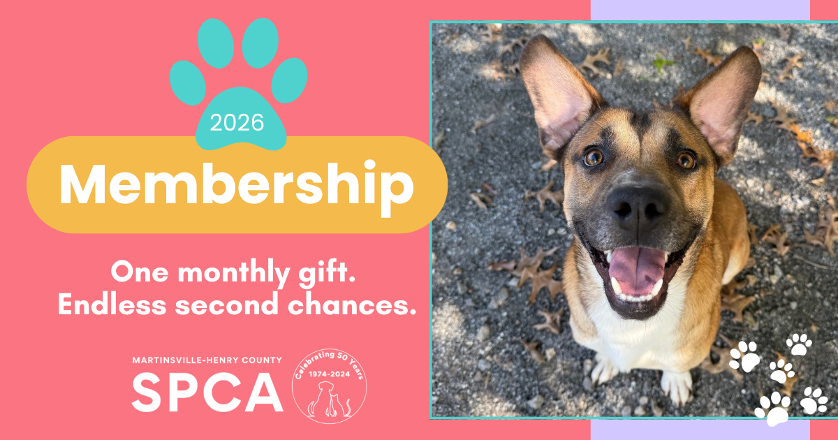 Campaign cover image for Membership 2026