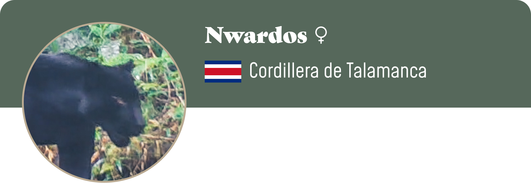 Campaign cover image for Adopt Nwardos