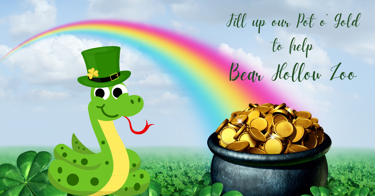 Campaign cover image for Pot o' Gold