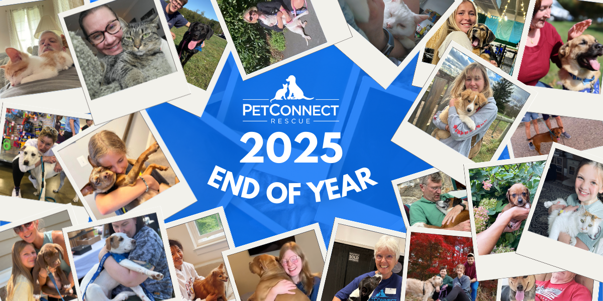 Campaign cover image for End of Year 2025 Giving