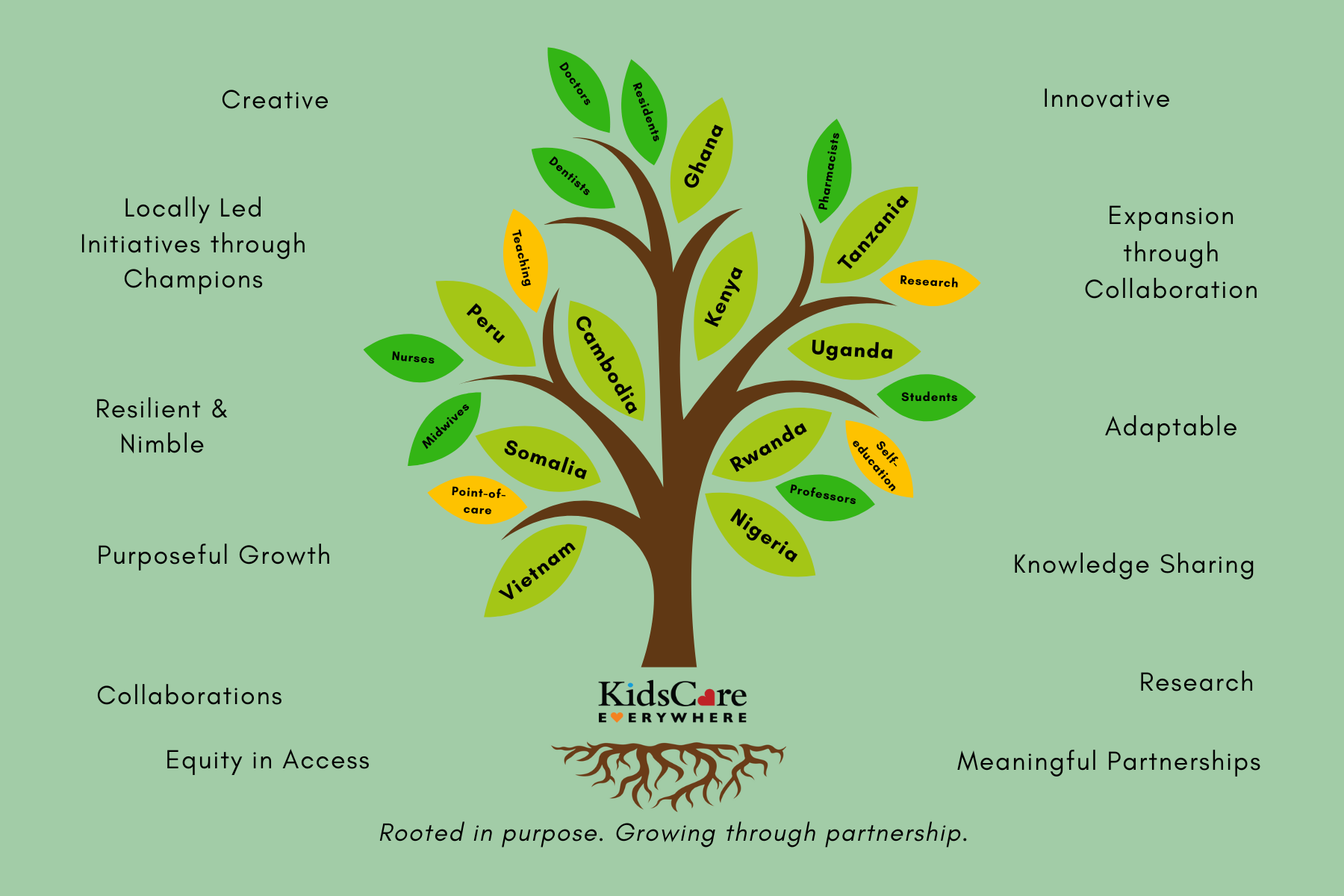 Campaign cover image for KCE’s Annual Fundraiser & Celebration: Taking Root, Branching Out