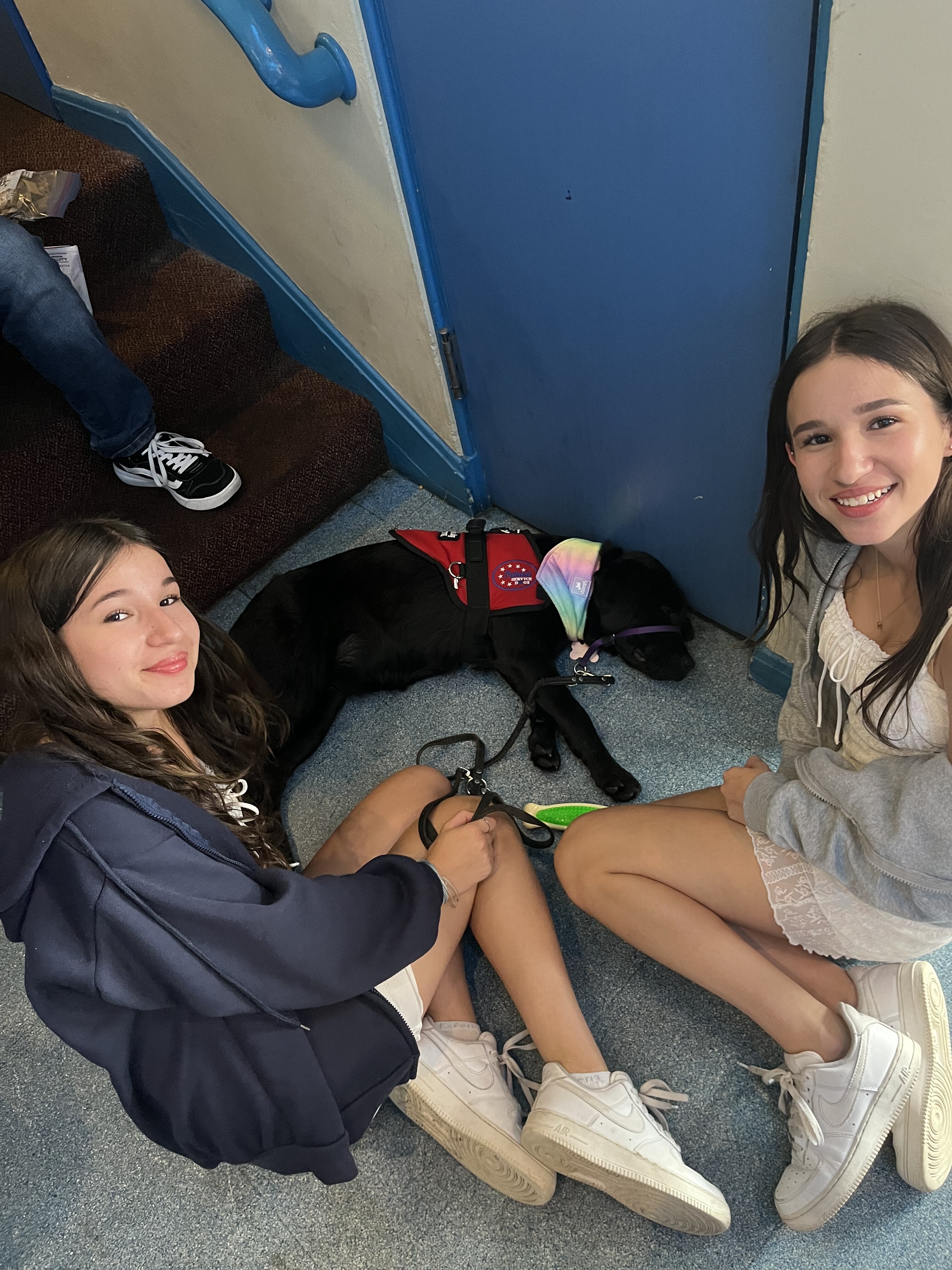 Campaign cover image for Bailey and Shelby's PSD Fundraising Page