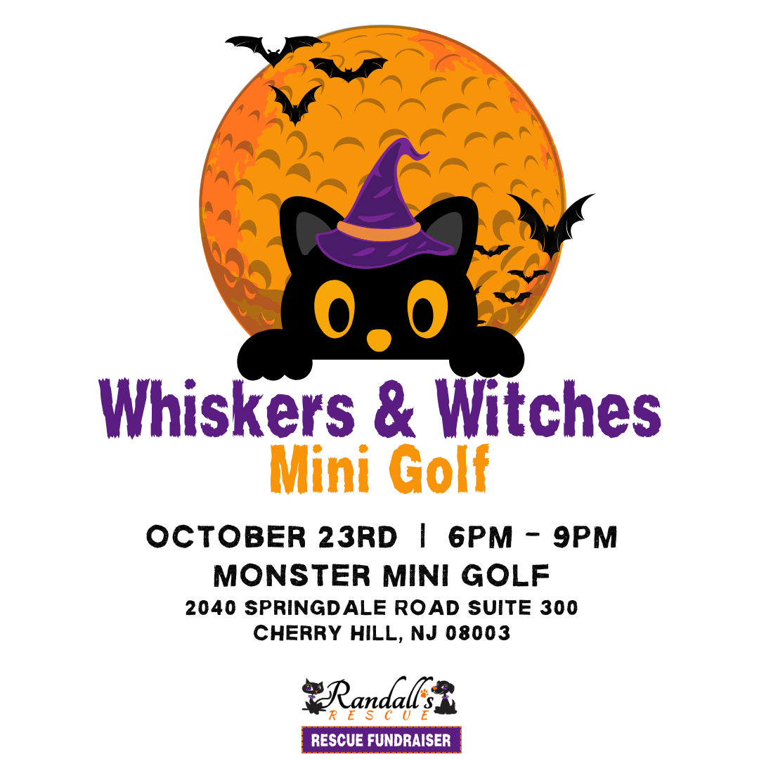 Campaign cover image for Whiskers & Witches Mini Golf Fundraiser