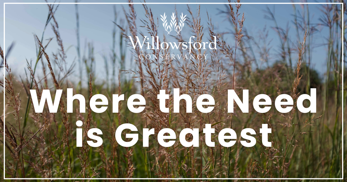 Campaign cover for Where the Need is Greatest