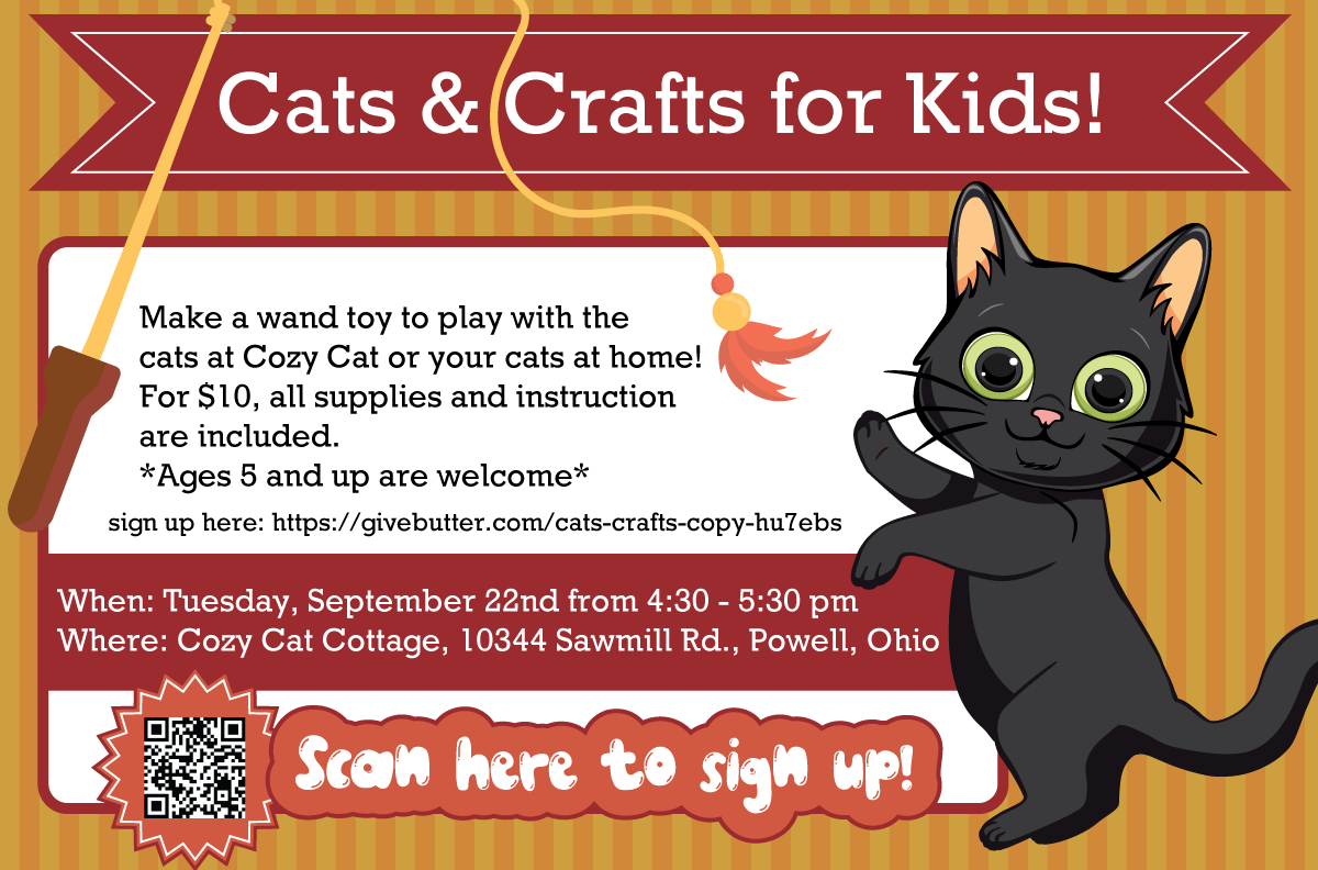 Campaign cover image for Cats & Crafts; Wand Toys!