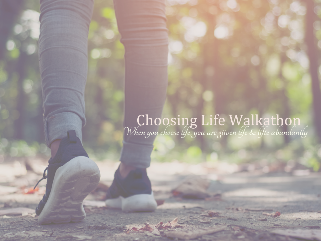 Campaign cover image for Choosing Life Walkathon
