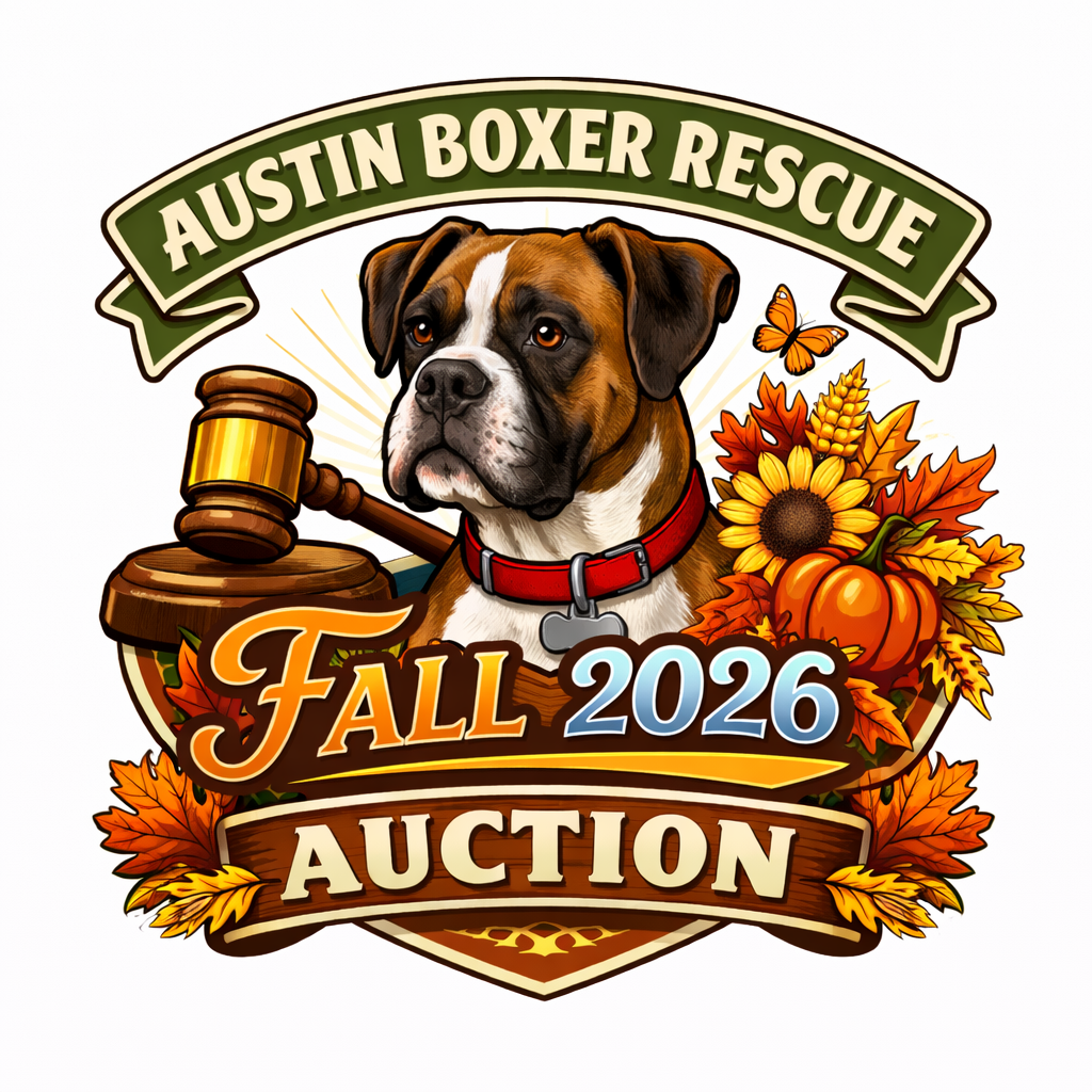 Campaign cover image for ABR 2026 Fall Auction