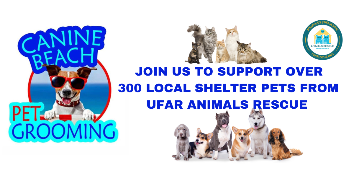 Campaign cover image for Canine Beach Pet Grooming