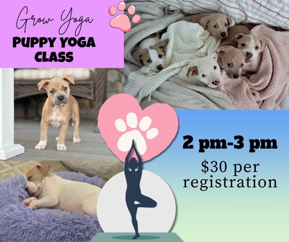 Campaign cover image for Grow Yoga: Puppy Yoga Registration