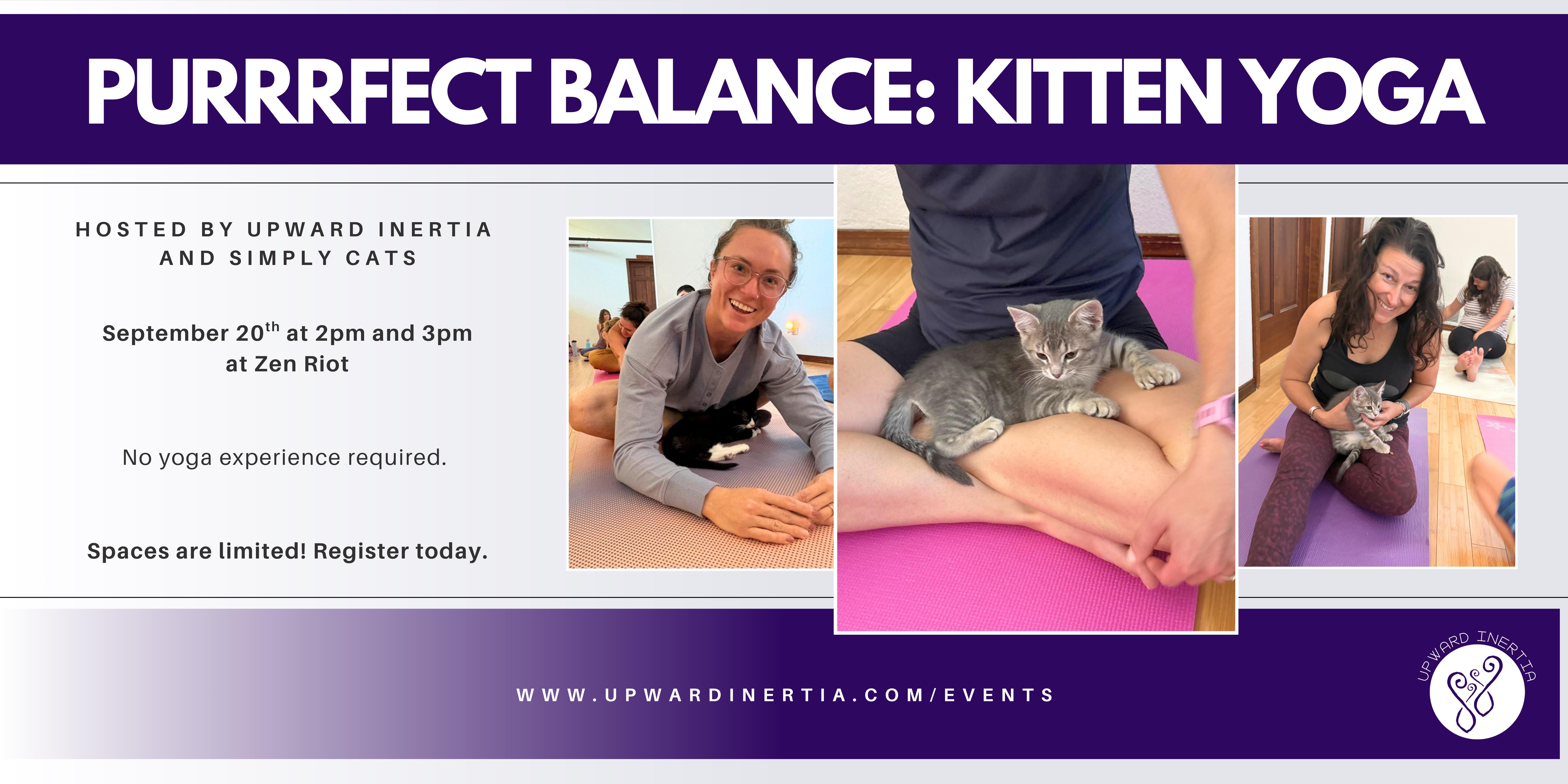 Campaign cover image for Purrrfect Balance: Kitten Yoga with Upward Inertia and Simply Cats
