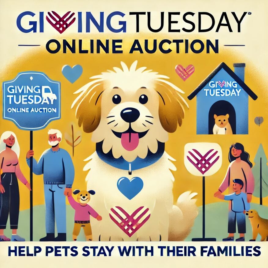Campaign cover image for Giving Tuesday Online Auction 2024