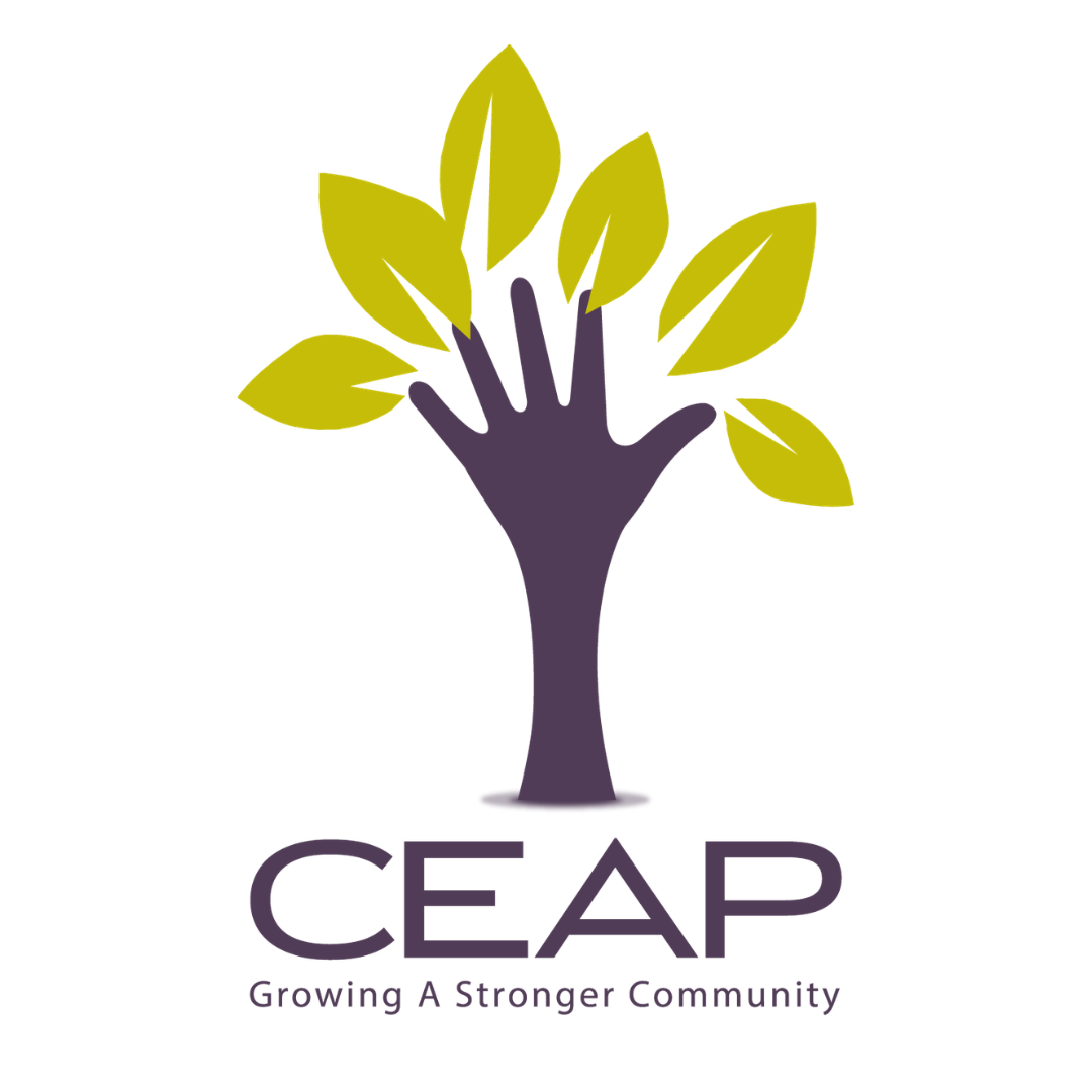 Campaign cover image for Support CEAP During the Hennepin County 5K!