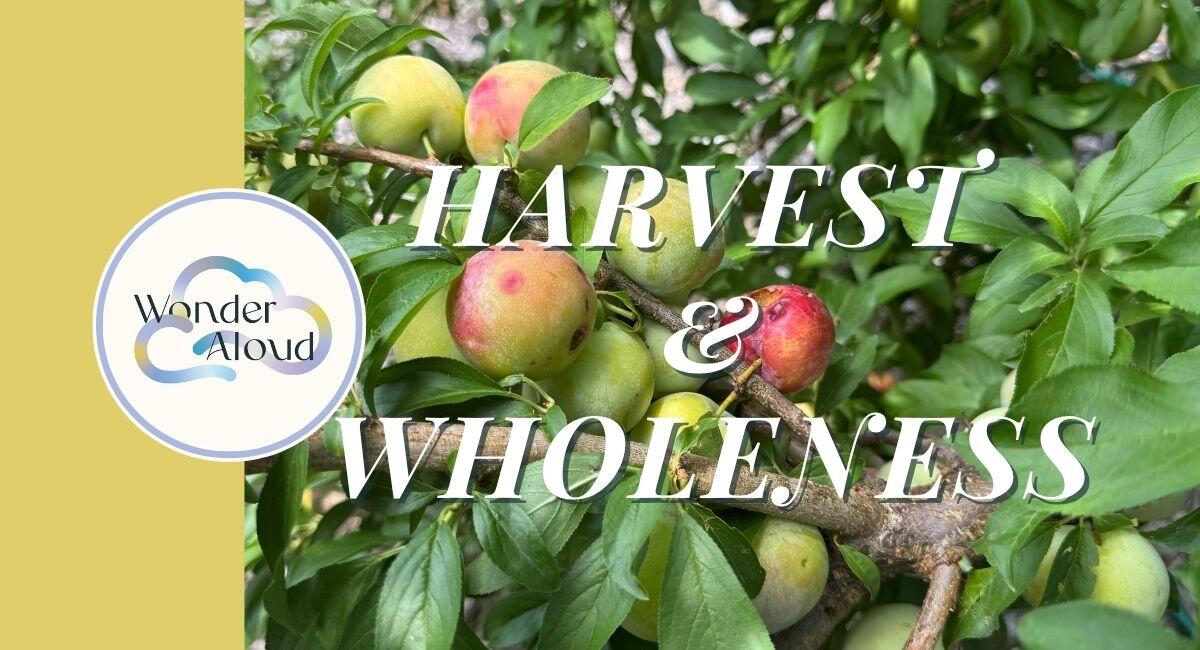 Campaign cover image for Harvest & Wholeness