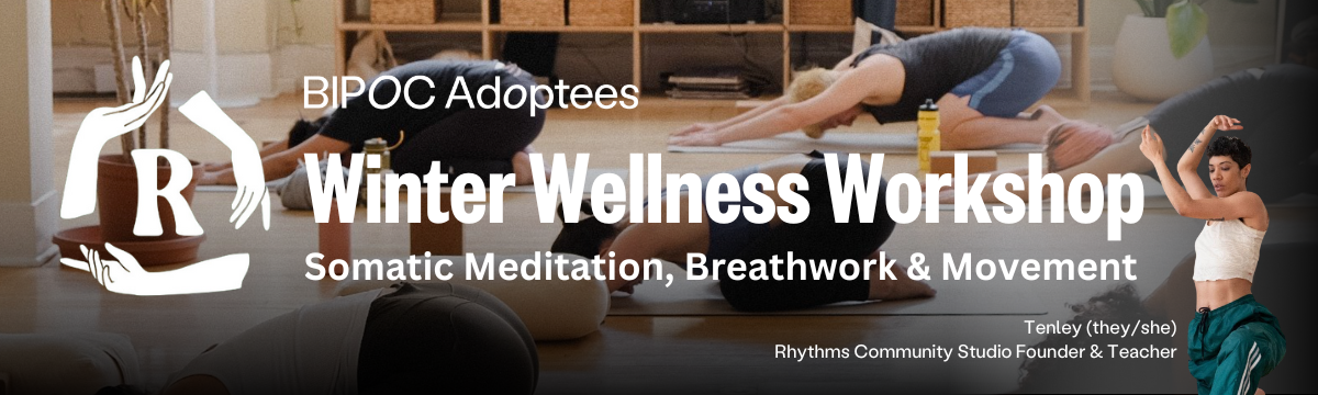 Campaign cover image for BIPOC Adoptees: Winter Wellness Workshop