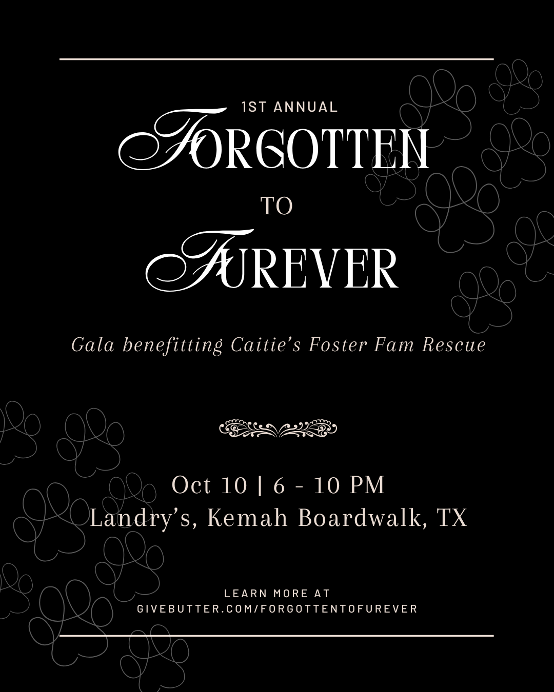 Campaign cover image for 1st Annual Forgotten to Furever Gala