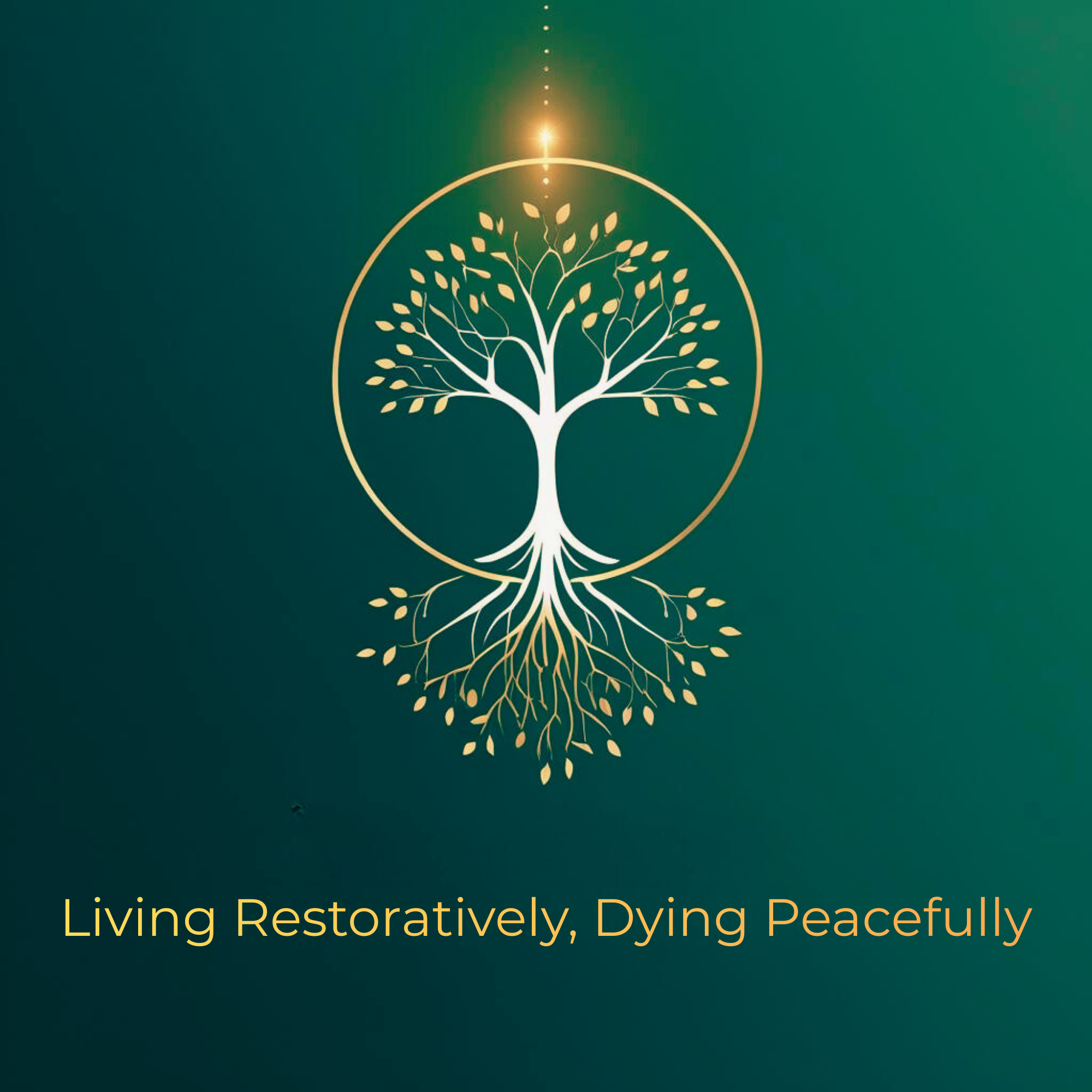 Campaign cover image for Seed the Future of Interfaith Peacebuilding: Support The Living Restoratively, Dying Peacefully Project