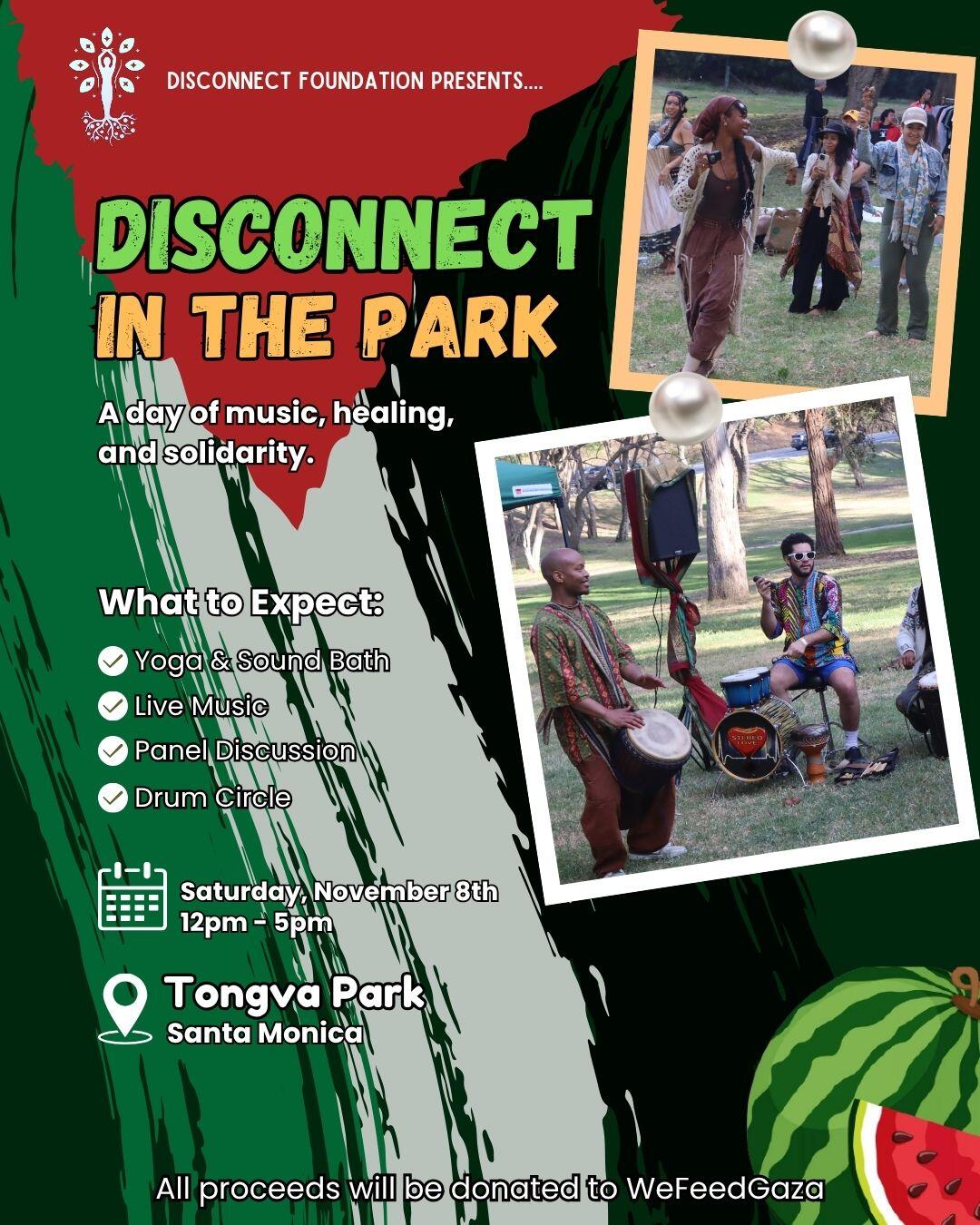 Campaign cover image for Disconnect in the Park (11/8)