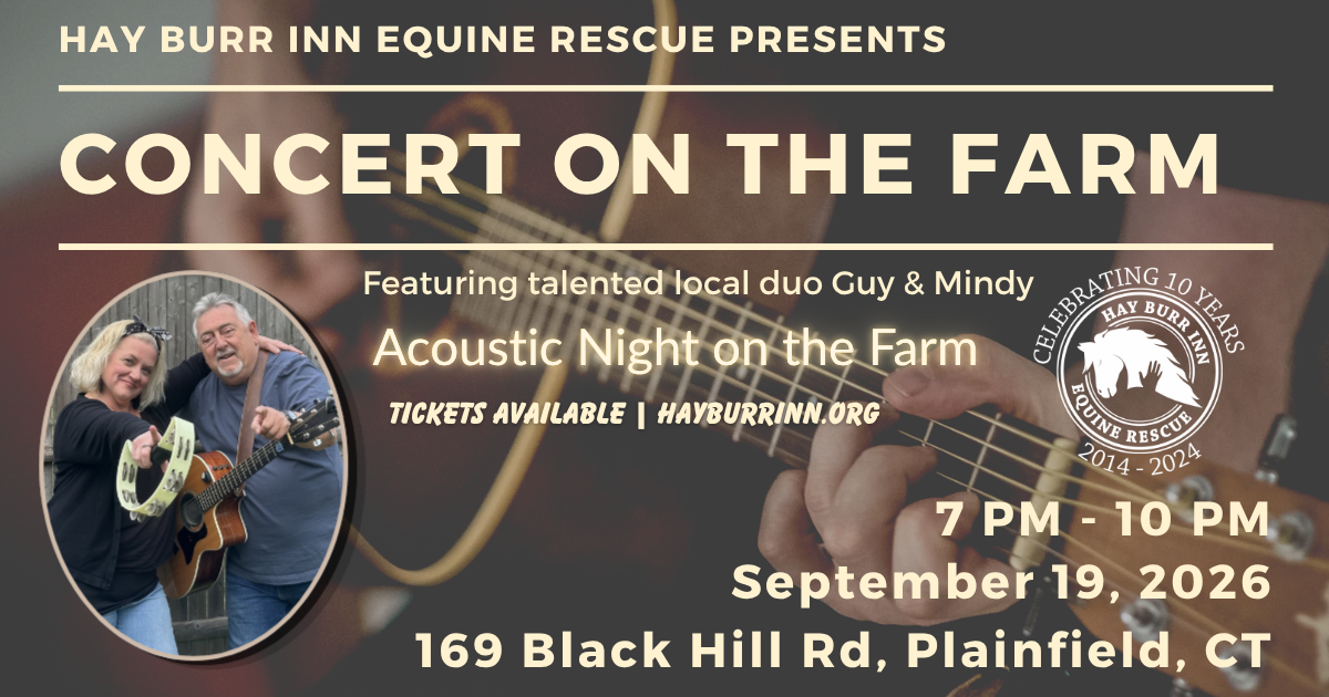 Campaign cover image for Concert on the Roof - Music Benefit for the Equines