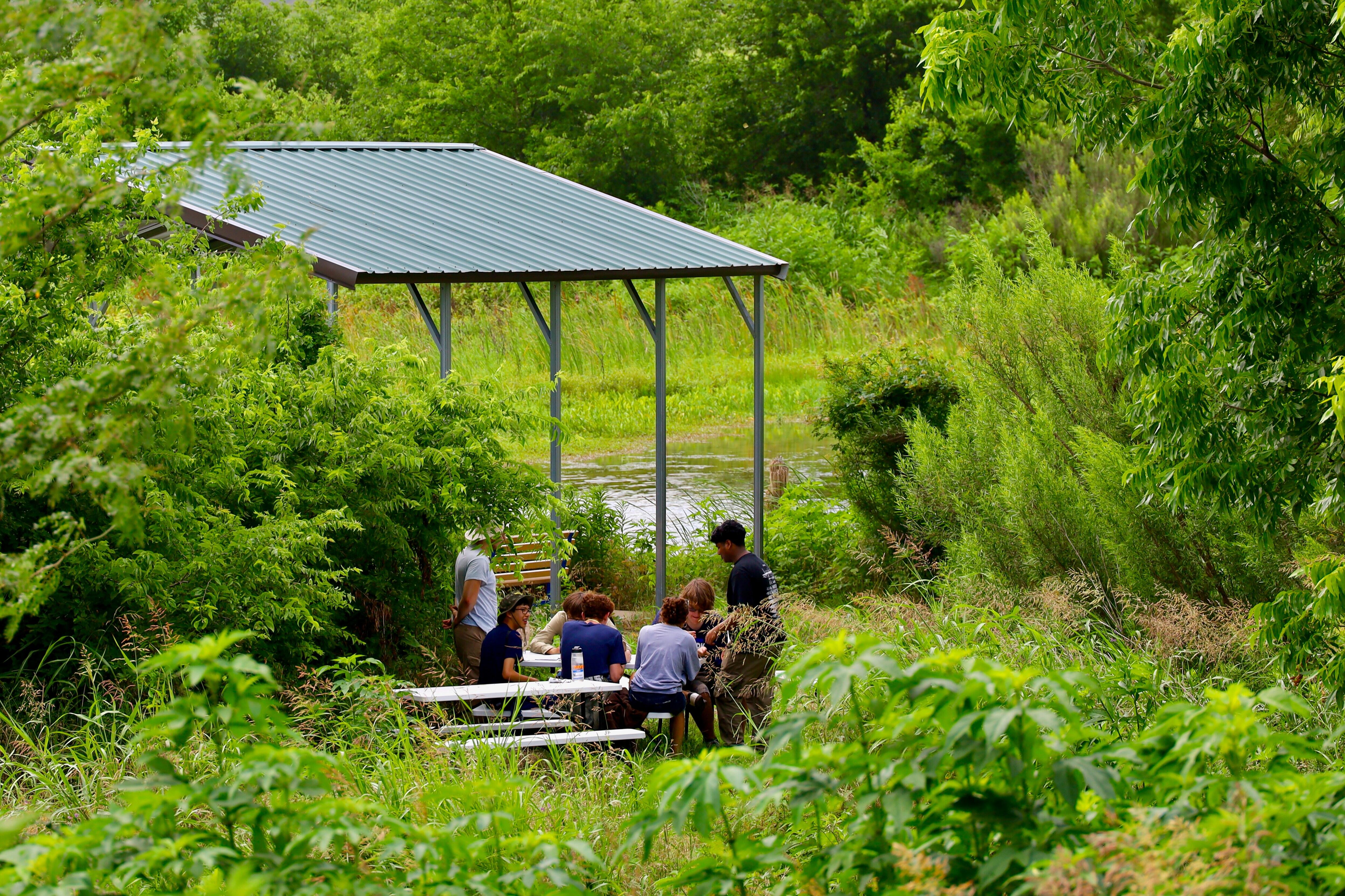 Campaign cover image for Homeschool Outdoors -- We Love a Wild Classroom!