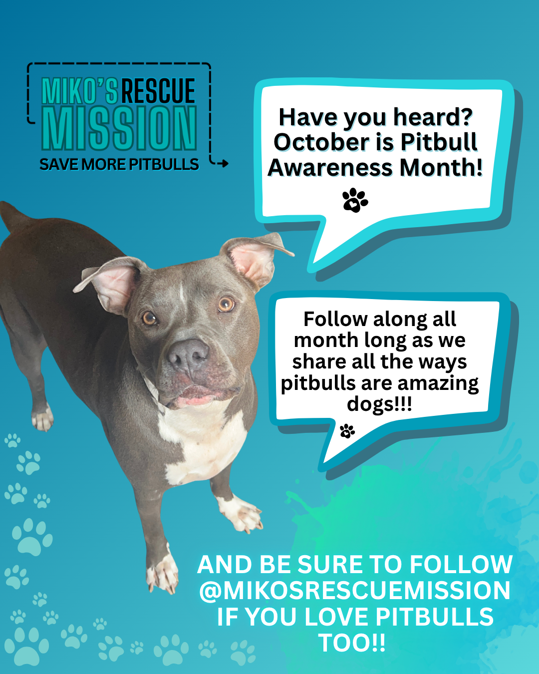 Campaign cover image for Pitbull Awareness Month - Donations Matched!