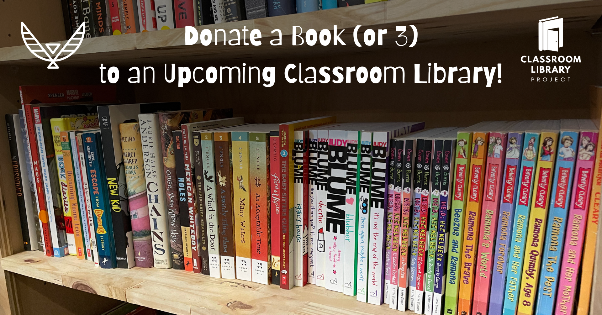 Campaign cover image for Help Stock A Classroom Library!
