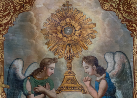Campaign cover image for 13th Annual Seven Sisters Apostolate Day of Reflection & Renewal-Sat. Oct. 24