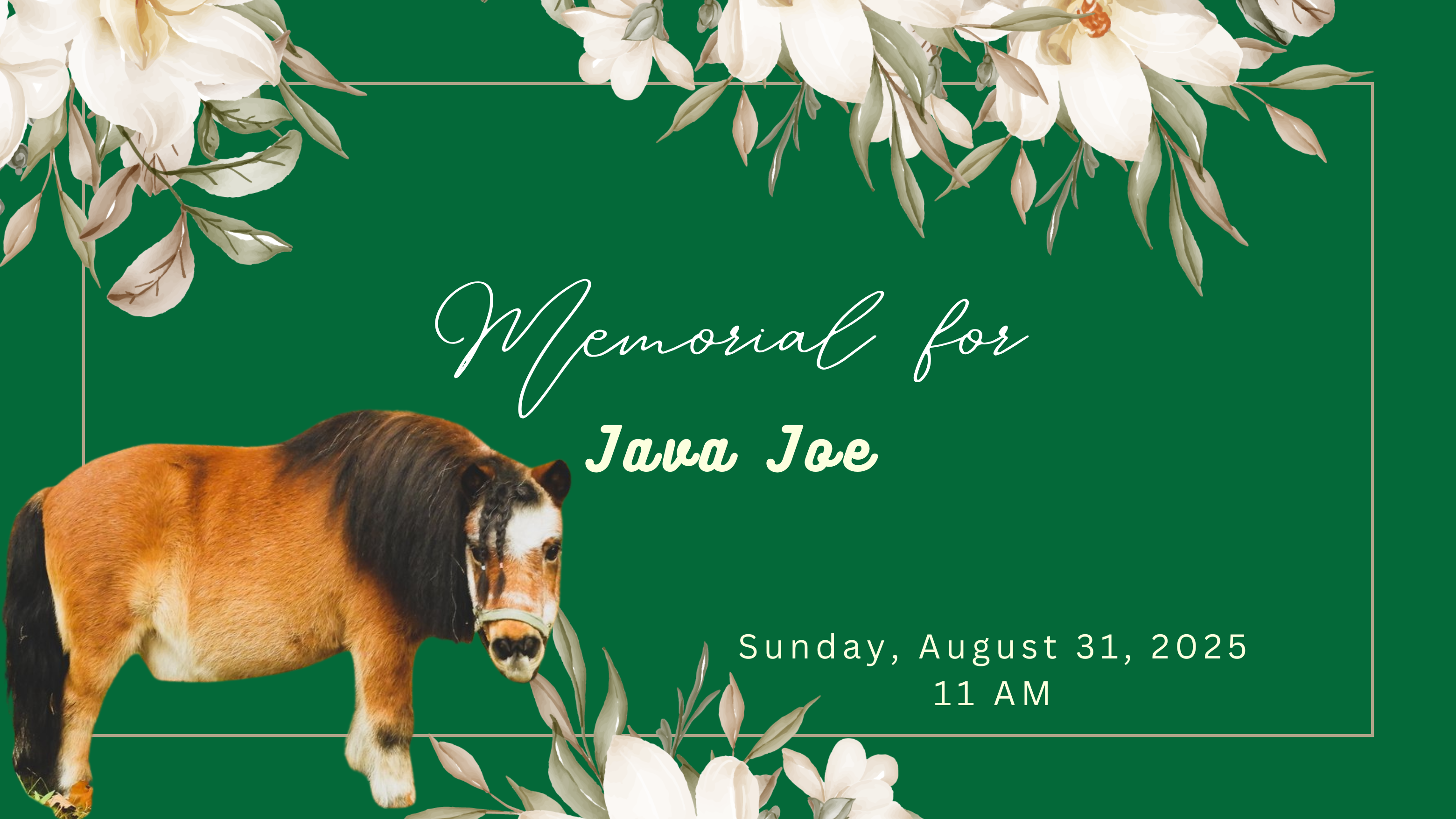 Campaign cover image for Remembering Java Joe - Memorial Fundraiser