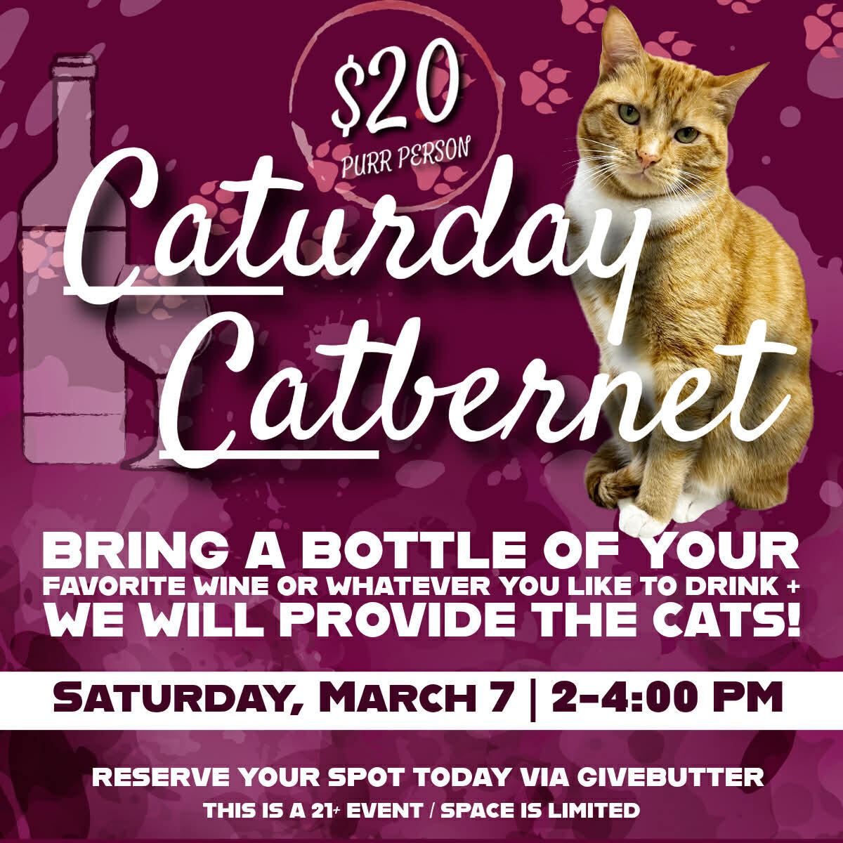 Campaign cover image for Caturday Catbernet