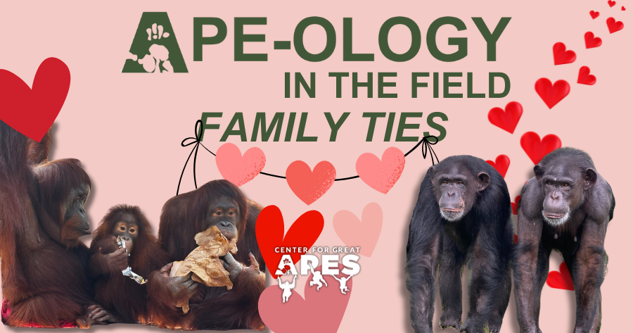Campaign cover image for Ape-ology: In the Field May 2025