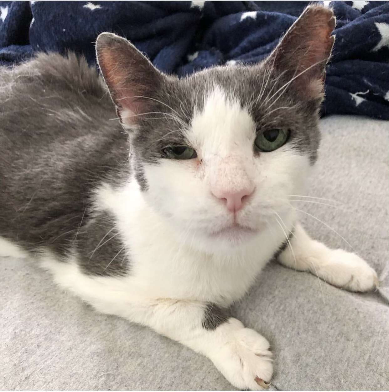 Campaign cover image for Help Give Alejandro the Care He Deserves