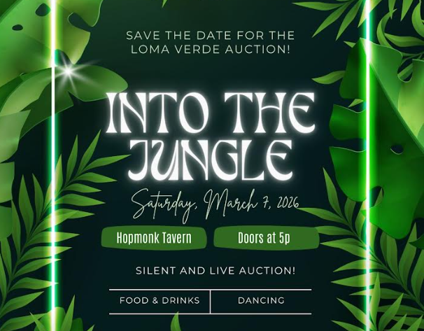 Campaign cover image for 2026 Loma Verde Auction