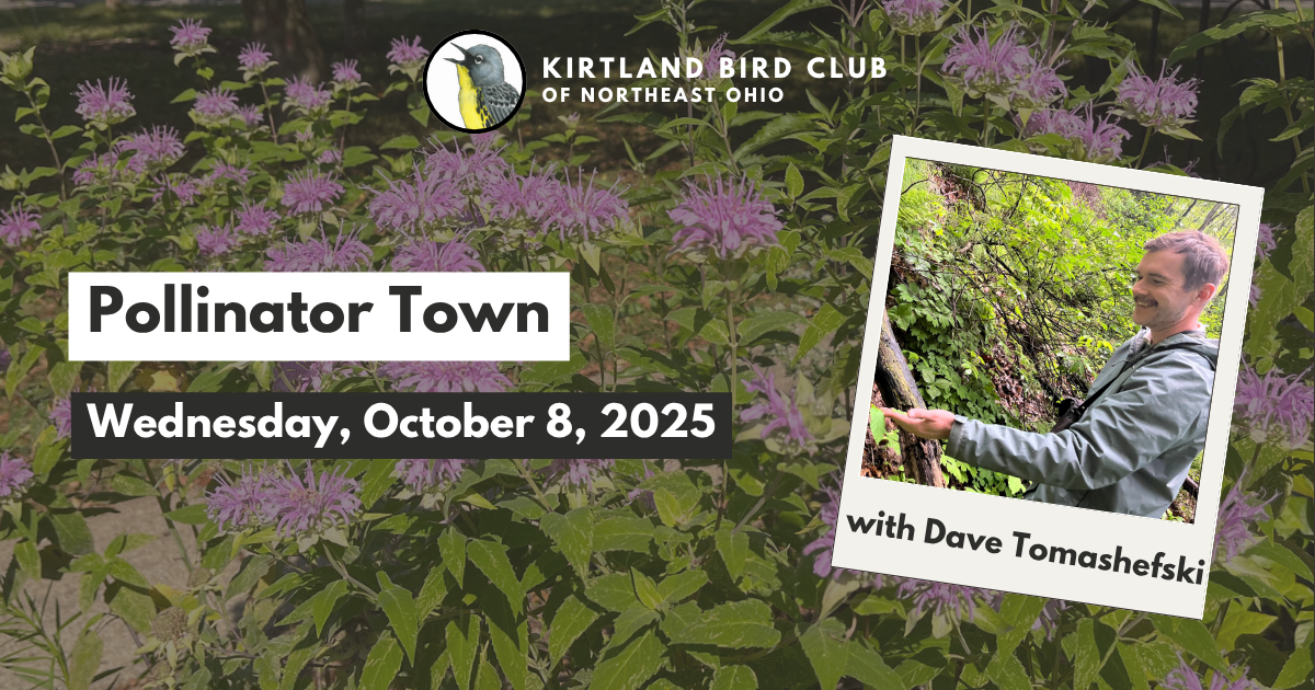 Campaign cover image for October 2025 Speaker Program