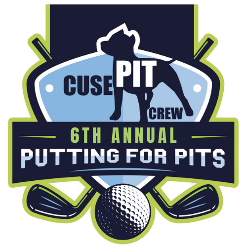 Campaign cover image for 6th Annual Cuse Pit Crew Putting For Pits Golf Tournament