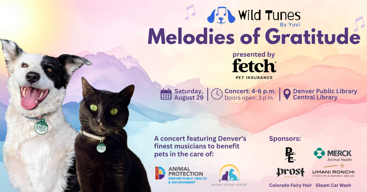 Campaign cover image for Melodies of Gratitude IV