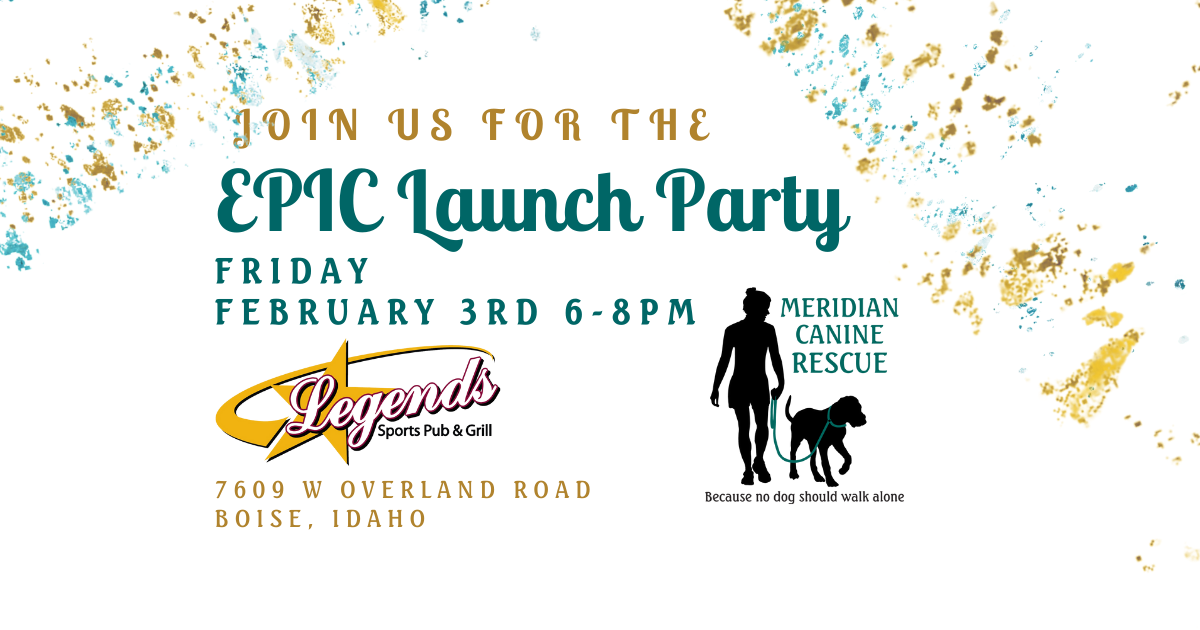 We have an EPIC party for you!