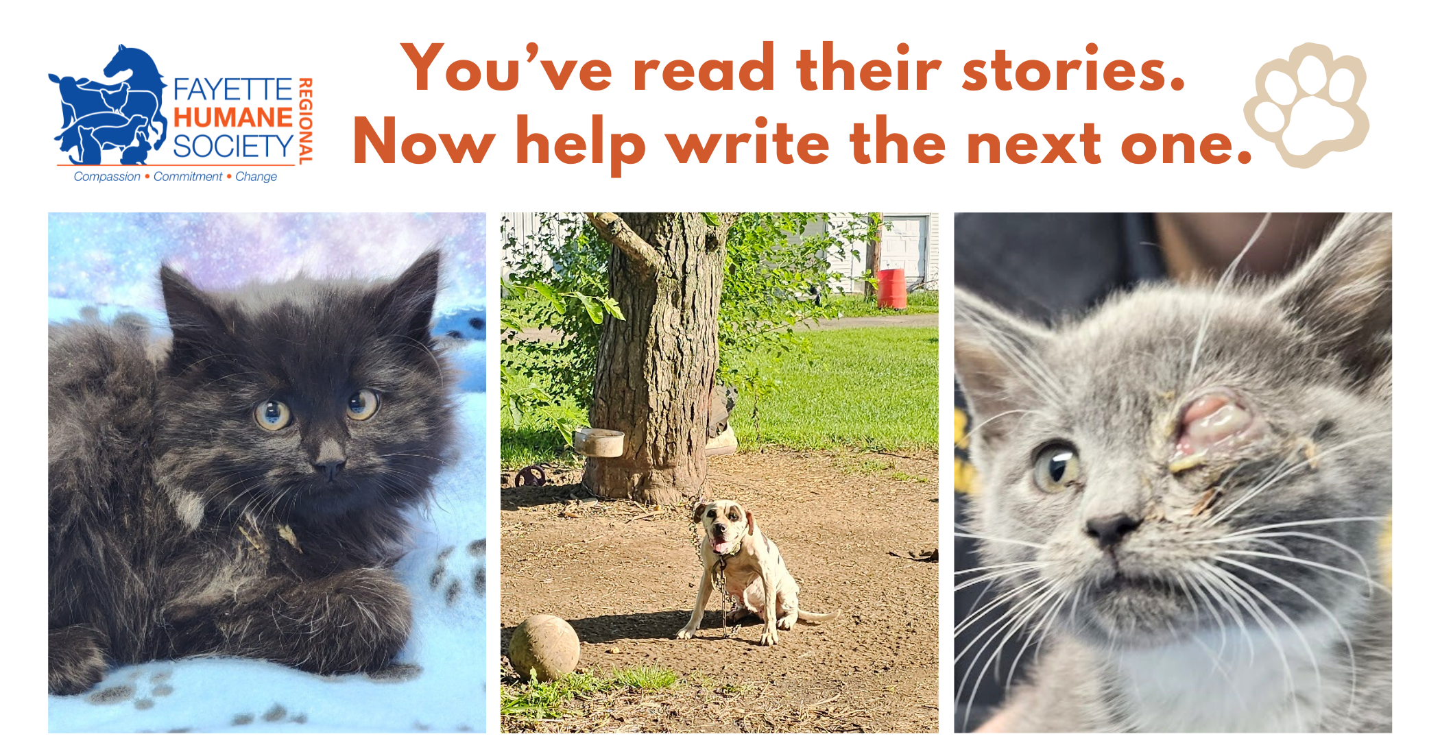 Campaign cover for Winter Newsletter 2026