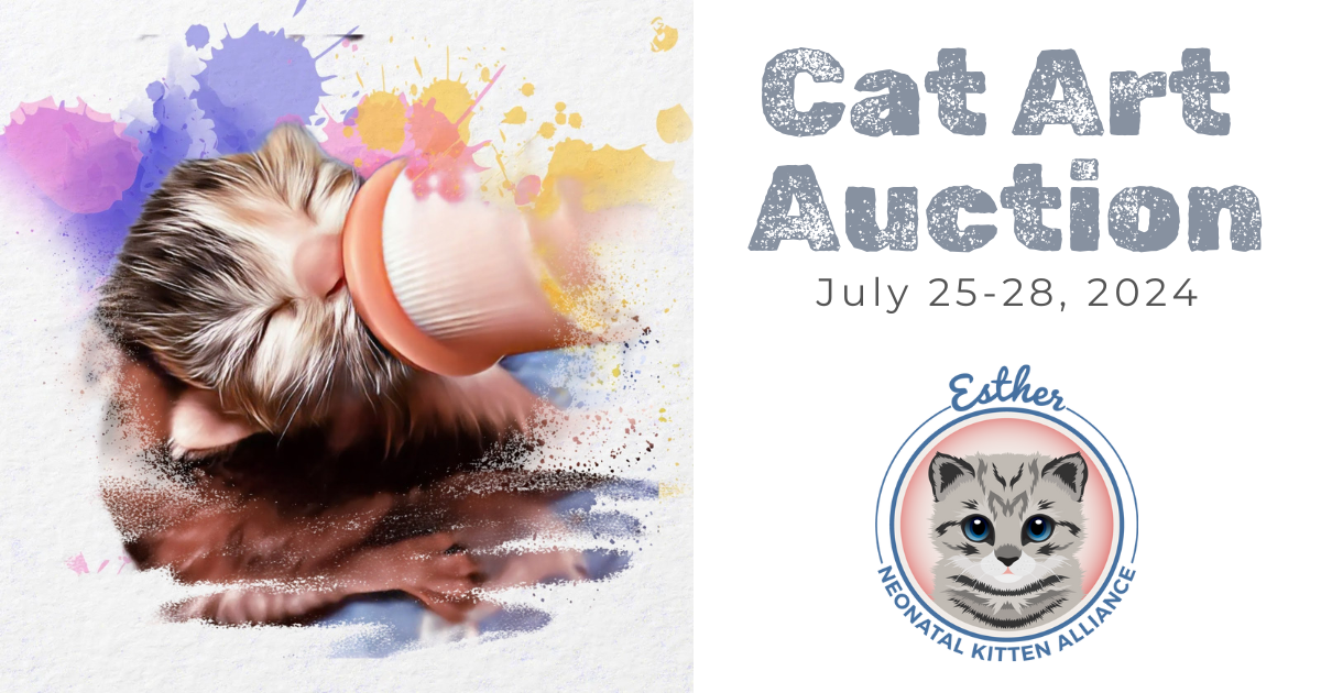 Campaign cover image for Cat Art Auction
