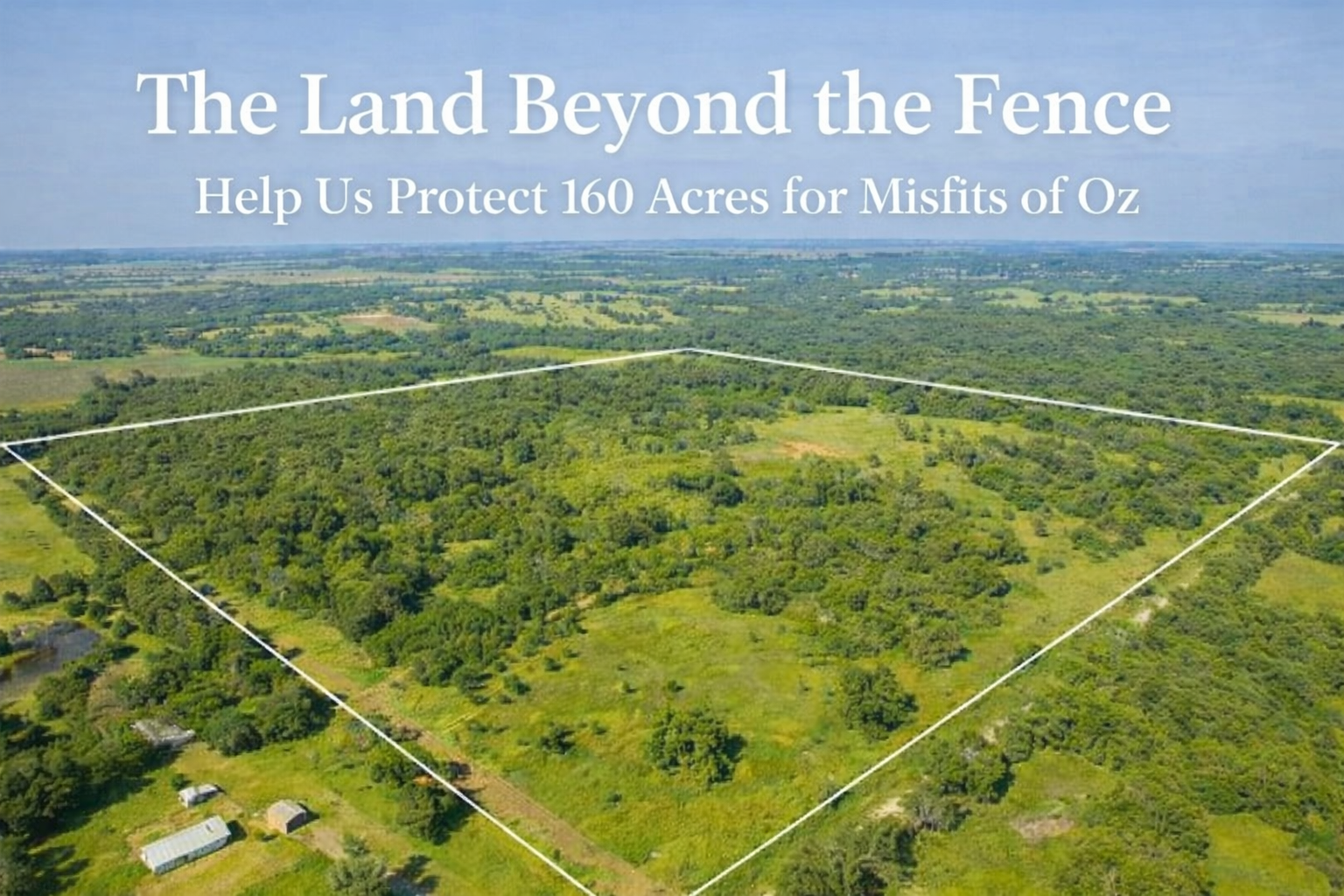 Campaign cover image for The Land Beyond the Fence: Securing the forever home for Misfits of Oz