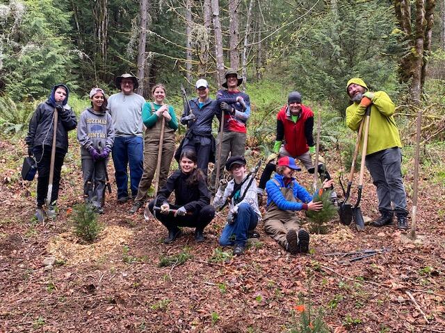 Campaign cover image for Green Issaquah: Restoration Event at Park Pointe 2/21