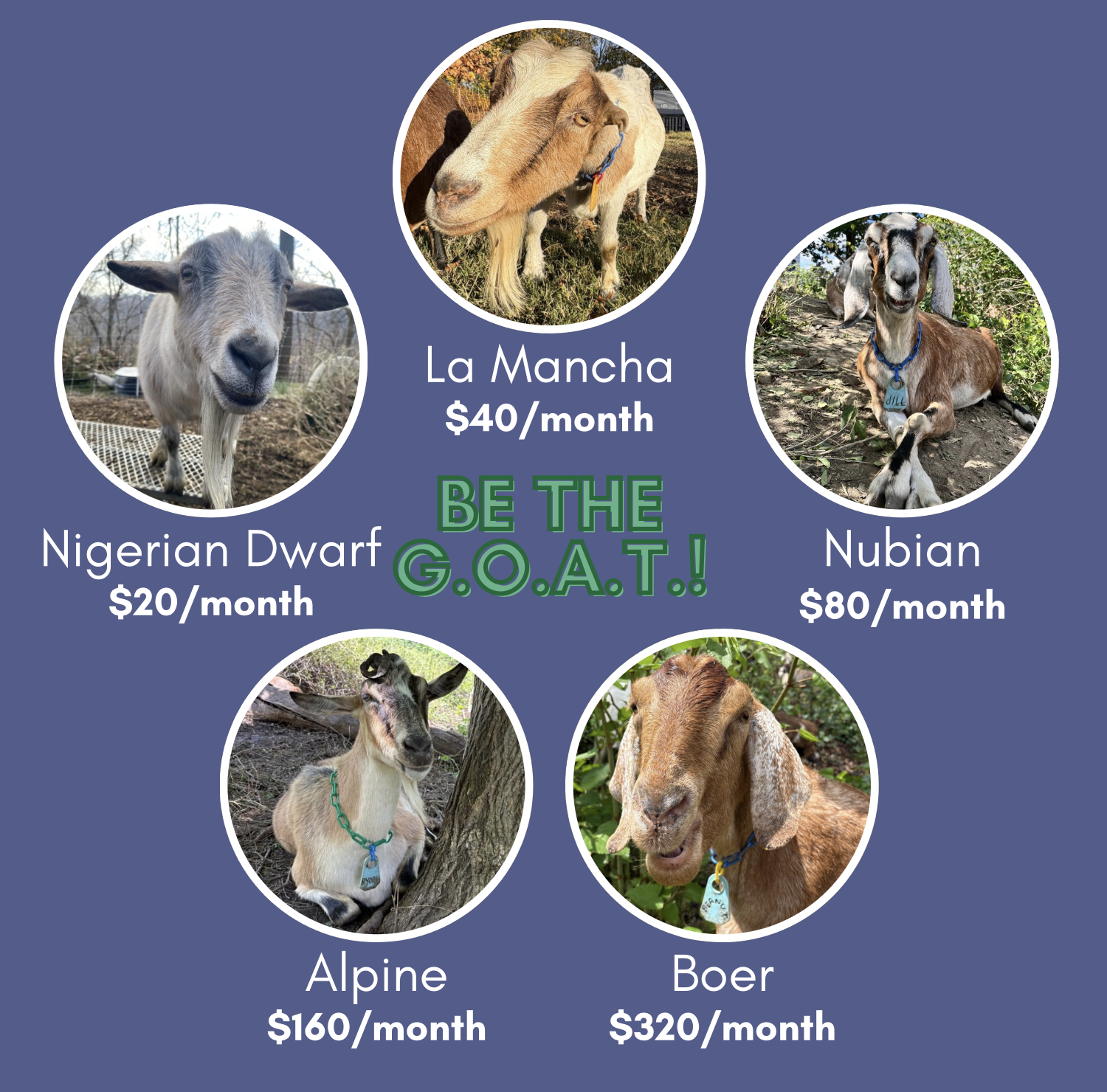 Campaign cover image for Be The G.O.A.T.! Become a Recurring Monthly Donor