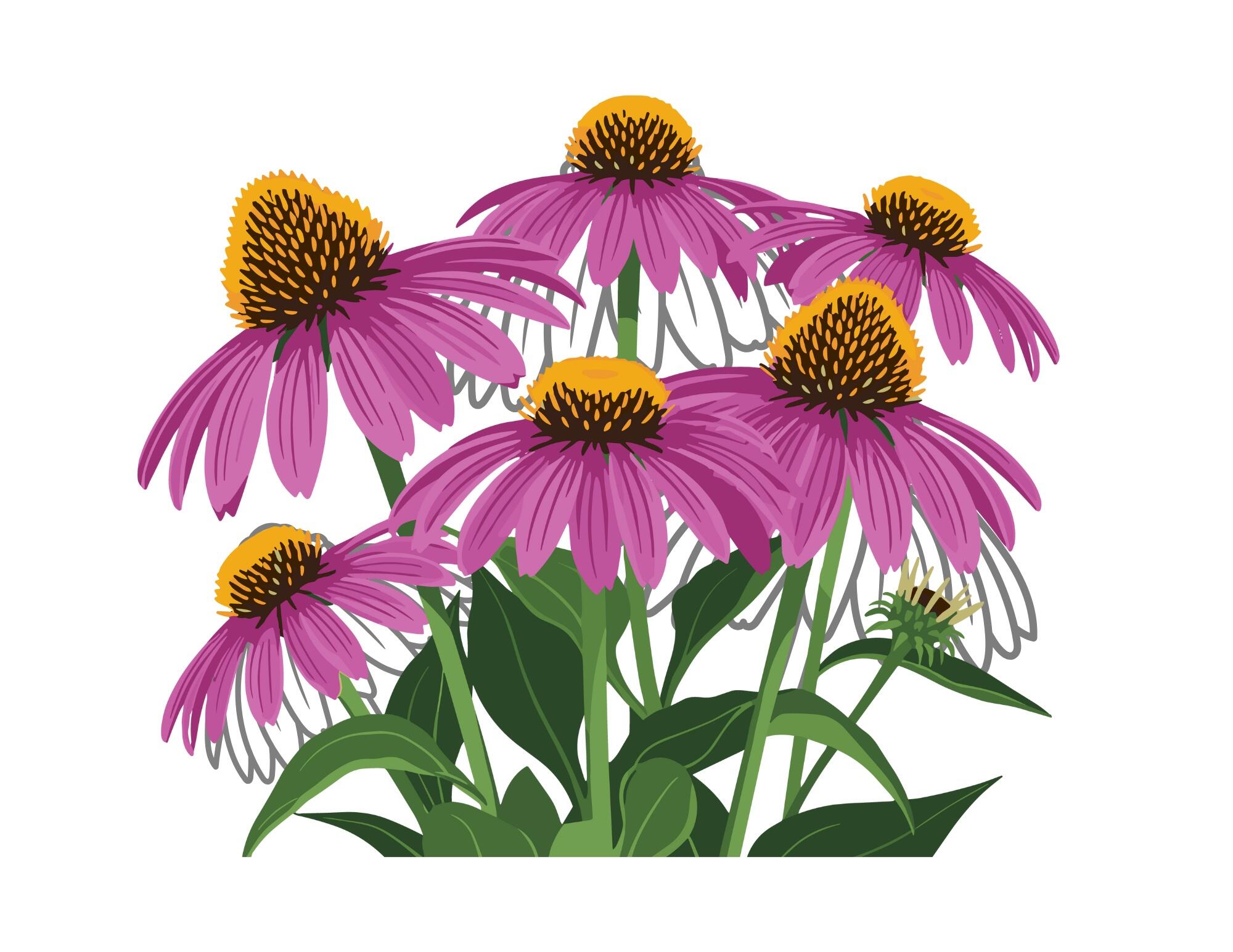 Campaign cover image for Good for Greenpoint 2025